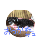 シュナマル りり（個別スタンプ：8）