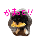 シュナマル りり（個別スタンプ：14）