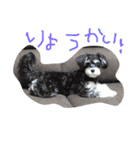 シュナマル りり（個別スタンプ：15）