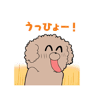 ハイテンションわんこトイくん（個別スタンプ：6）