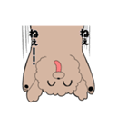 ハイテンションわんこトイくん（個別スタンプ：21）