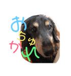 うちのりゅうせいくんパート2（個別スタンプ：10）