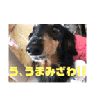 うちのりゅうせいくんパート2（個別スタンプ：14）