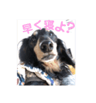 うちのりゅうせいくんパート2（個別スタンプ：16）