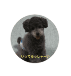 シルバープーティン之助（個別スタンプ：2）