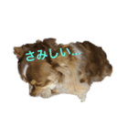 フラッフィーーーー（個別スタンプ：2）