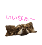フラッフィーーーー（個別スタンプ：5）