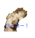 フラッフィーーーー（個別スタンプ：6）