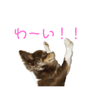 フラッフィーーーー（個別スタンプ：8）