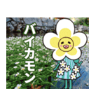 ハッチマン（個別スタンプ：1）