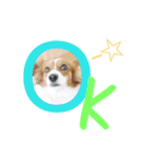 ミックス犬こころの日常（個別スタンプ：6）