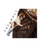 ミックス犬こころの日常（個別スタンプ：8）