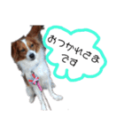 ミックス犬こころの日常（個別スタンプ：10）