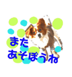 ミックス犬こころの日常（個別スタンプ：21）
