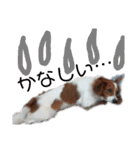ミックス犬こころの日常（個別スタンプ：30）