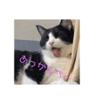 シーくん3（個別スタンプ：9）