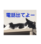 シーくん3（個別スタンプ：20）