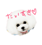 モコマルスタンプ（個別スタンプ：1）