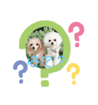 モコマルスタンプ（個別スタンプ：4）