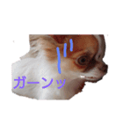 のん☆てん すたんぷ（個別スタンプ：4）