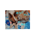 のん☆てん すたんぷ（個別スタンプ：14）