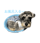 アンクルくんの日常（個別スタンプ：5）