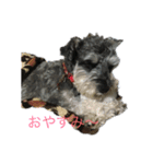 アンクルくんの日常（個別スタンプ：7）