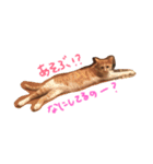 はくとん2（個別スタンプ：9）