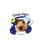 チロル家の日常3（個別スタンプ：3）