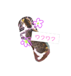 チロル家の日常3（個別スタンプ：14）
