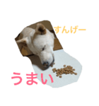 りんちゃん♥️（個別スタンプ：2）