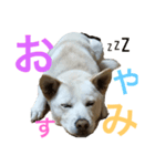 りんちゃん♥️（個別スタンプ：4）