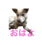 りんちゃん♥️（個別スタンプ：6）