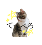 ルルのスタンプだお（個別スタンプ：3）