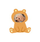 とーりさーんA（個別スタンプ：37）
