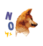 柴犬こたろう 子犬Ver.（個別スタンプ：2）