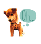柴犬こたろう 子犬Ver.（個別スタンプ：6）