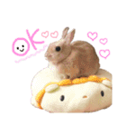 ショコラのほのぼの日常（個別スタンプ：4）
