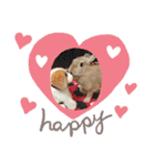 ショコラのほのぼの日常（個別スタンプ：6）