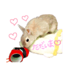 ショコラのほのぼの日常（個別スタンプ：8）