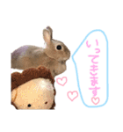 ショコラのほのぼの日常（個別スタンプ：9）