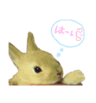 ショコラのほのぼの日常（個別スタンプ：17）