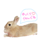 ショコラのほのぼの日常（個別スタンプ：25）