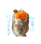 ショコラのほのぼの日常（個別スタンプ：27）