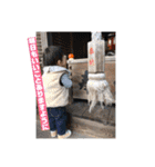 すいすいがいっぱい（個別スタンプ：7）