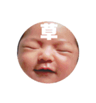 りんすた。だいにだん。（個別スタンプ：23）