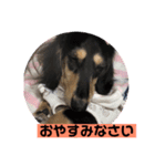 使えるむぅたんスタンプ（個別スタンプ：6）