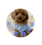 わさびの毎日スタンプ（個別スタンプ：10）