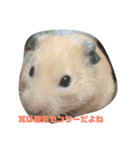 はむすたろう（個別スタンプ：2）