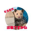 はむすたろう（個別スタンプ：15）